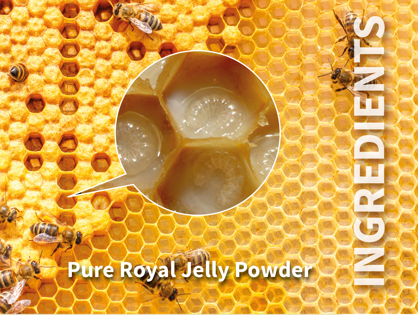 CNI Royal Jelly